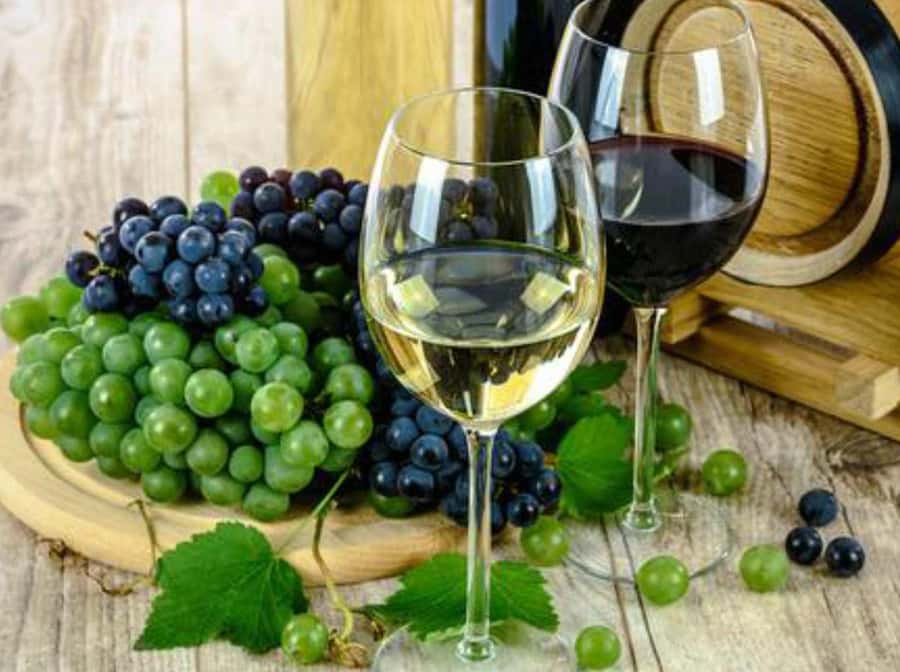 From Ica: Excursion to Wineries - Along the Pisco Route - What to Expect from the Tour