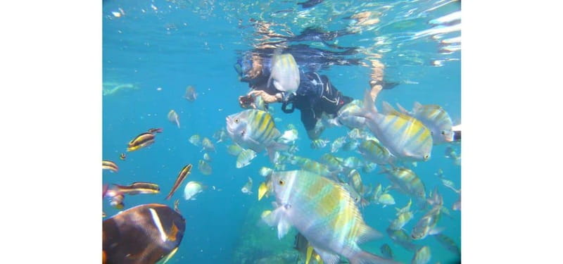 Cabo San Lucas: Beach Hopper Small-Group Snorkeling Tour - Making sense of the itinerary