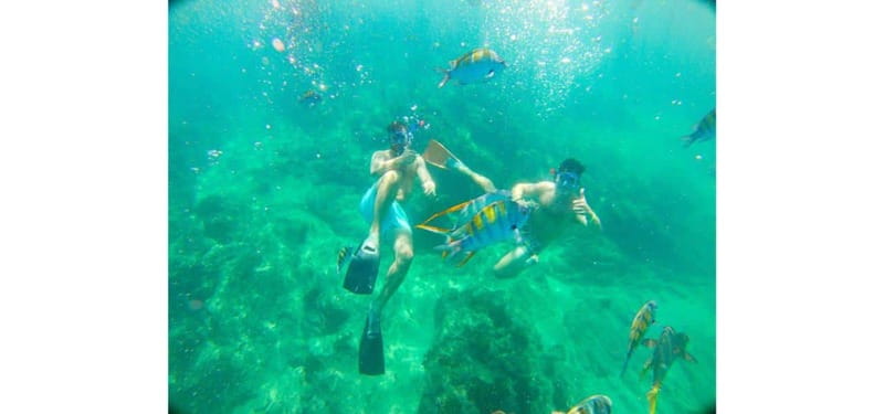 Cabo San Lucas: Beach Hopper Small-Group Snorkeling Tour - The experience in detail
