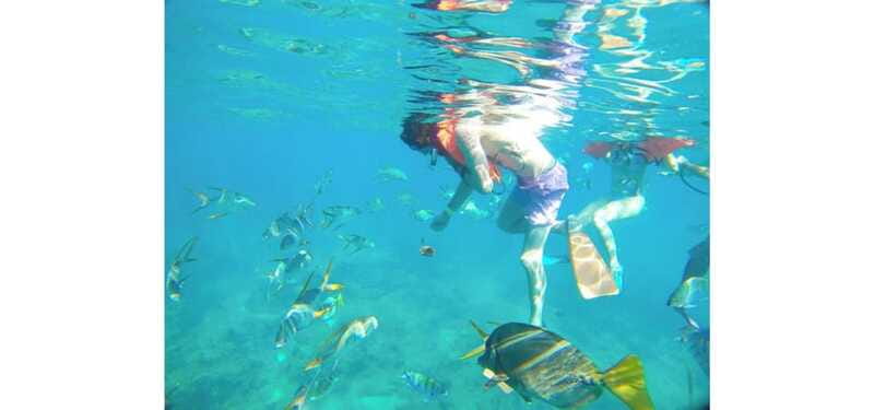 Cabo San Lucas: Beach Hopper Small-Group Snorkeling Tour - Final thoughts