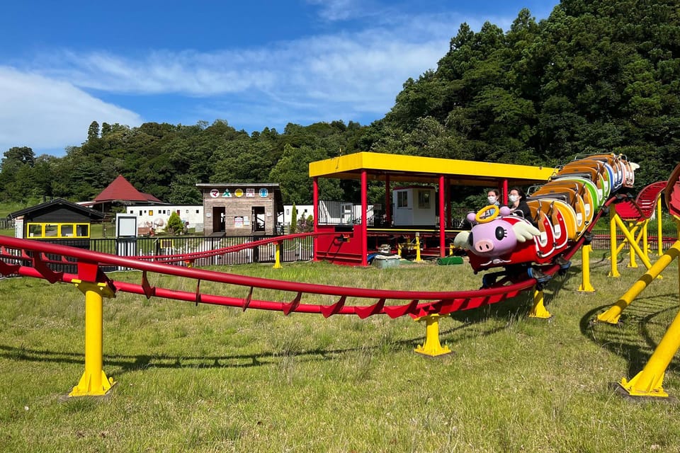 Tokyo: German Village Lighting and Farm Experience - Practical Information