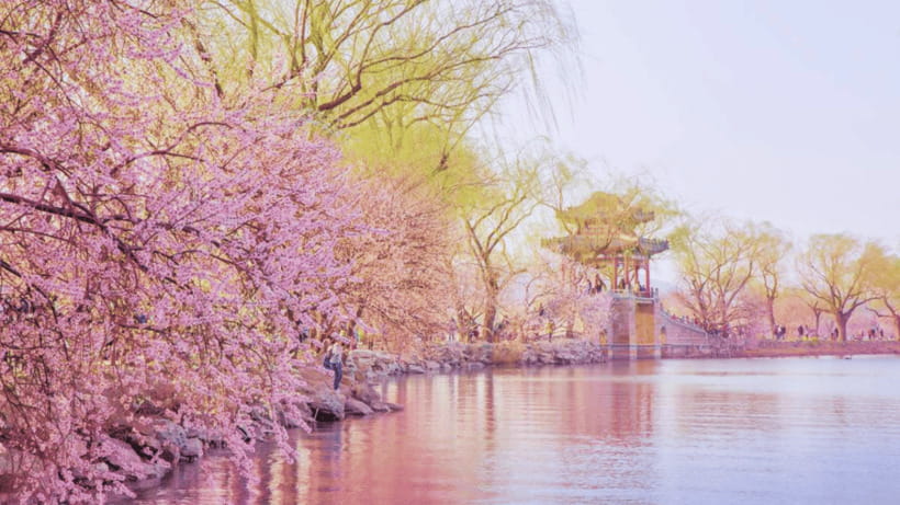 Beijing: Summer Palace Admission Ticket and eGuide - The Allure of the Summer Palace