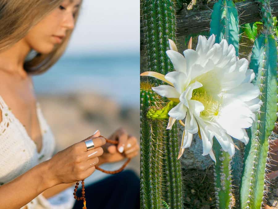 Wachuma (San Pedro) and Ayahuasca Retreats, 7D -Intermediate - Final Thoughts