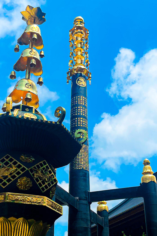 Nikko: Day Tour from Tokyo in Spanish - Spanish - Experience Overview: Exploring Nikko in a Day from Tokyo