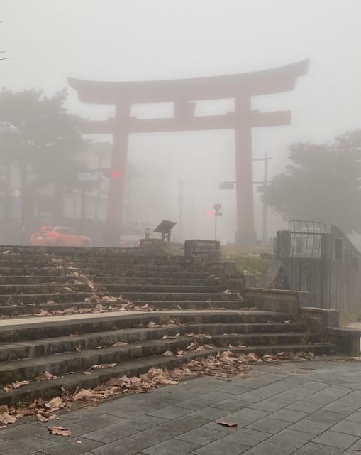 Tokyo: Customized Private Tour with a Local Guide - An In-Depth Look at What to Expect