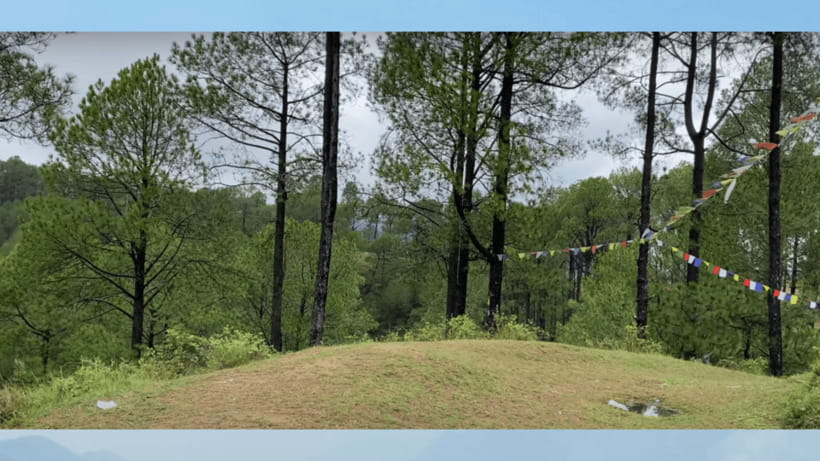 Kathmandu: 3-4 Hrs Hiking at Shivapuri National Park - Good To Know