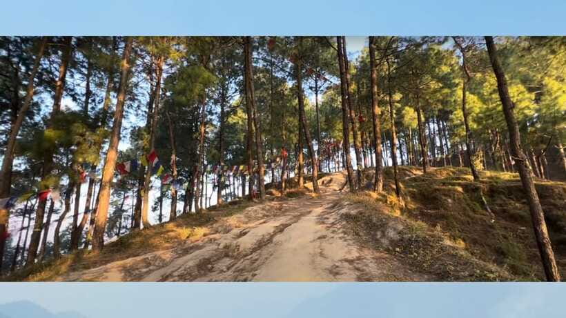 Kathmandu: 3-4 Hrs Hiking at Shivapuri National Park - Exploring the Forest: Natural Walks and Birdwatching