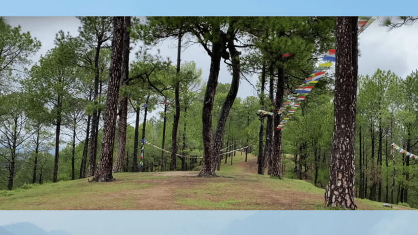 Kathmandu: 3-4 Hrs Hiking at Shivapuri National Park - The Hidden Gorge: An Unexpected Adventure