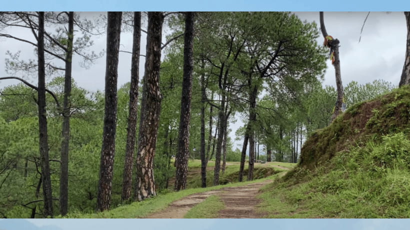 Kathmandu: 3-4 Hrs Hiking at Shivapuri National Park - Similar Experiences