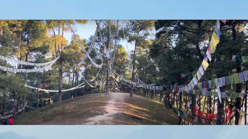 Kathmandu: 3-4 Hrs Hiking at Shivapuri National Park - Additional Info: Flexibility and Booking