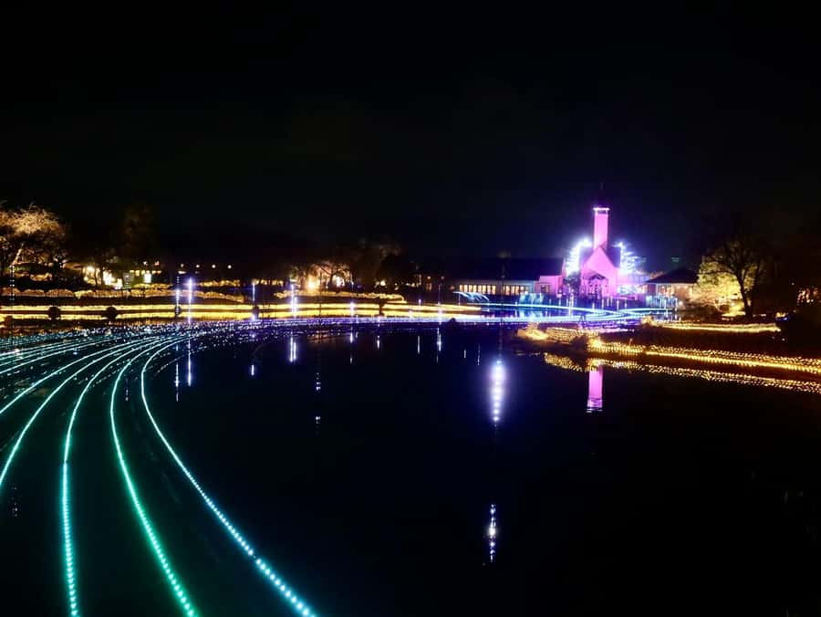 Nagoya: Nagashima Outlet Mall & Nabana no Sato Park Trip - Transportation and Group Size