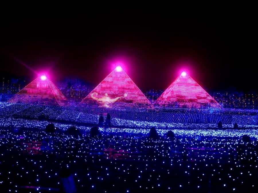 Nagoya: Nagashima Outlet Mall & Nabana no Sato Park Trip - Pricing and Overall Value