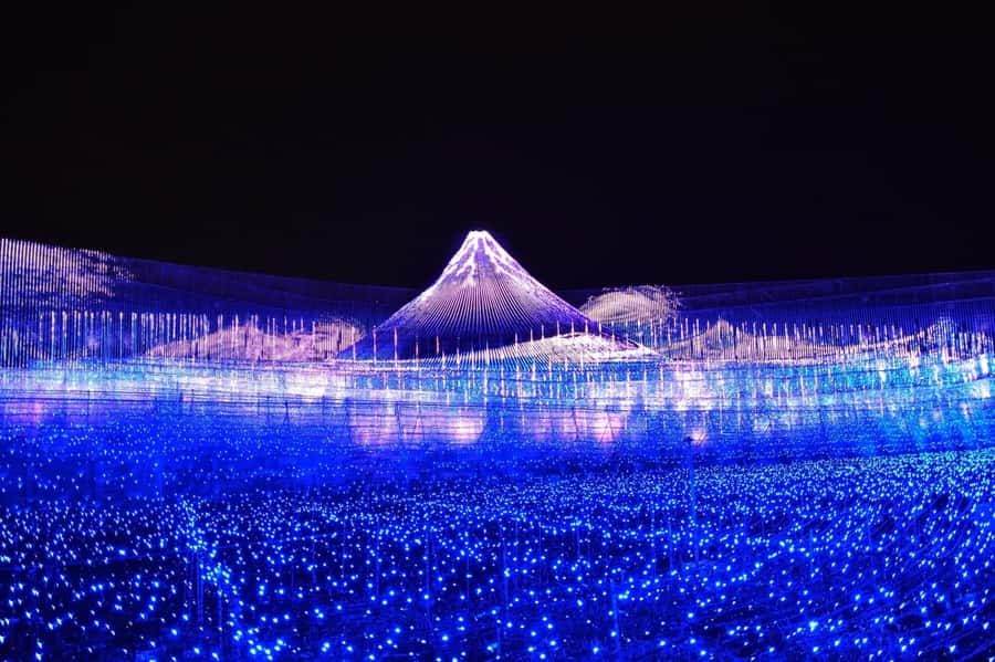 Nagoya: Nagashima Outlet Mall & Nabana no Sato Park Trip - FAQ