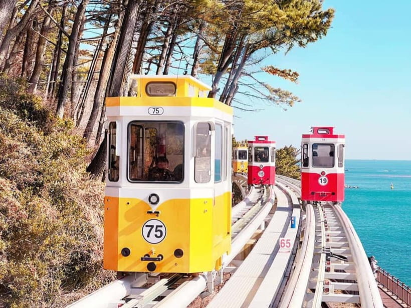 Busan: Max Out City Highlights Photo Spots Full Day Tour - Frequently Asked Questions