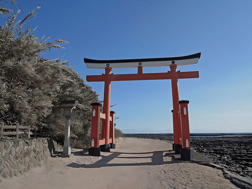 Kyushu 9-hour chartered day trip Miyazaki - Authentic Experiences and Practical Tips