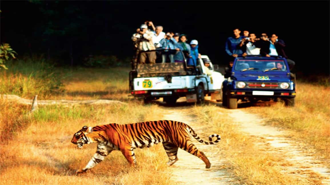 2-Day Jaipur and Ranthambore Tour from Delhi - Who Should Consider This Tour?
