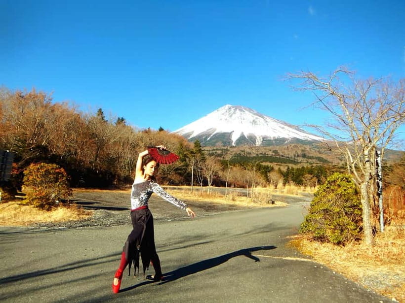 From Tokyo: Mount Fuji Private Day Tour Fully Customizable - From Tokyo: Mount Fuji Private Day Tour Fully Customizable