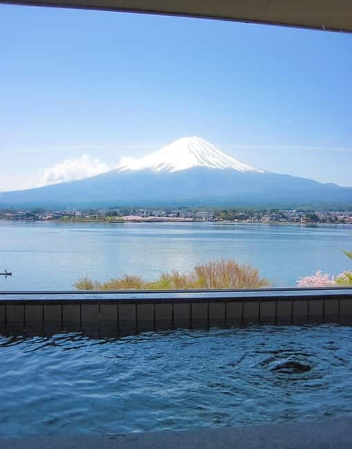From Tokyo: Mount Fuji Private Day Tour Fully Customizable - Who Will Love This Tour?