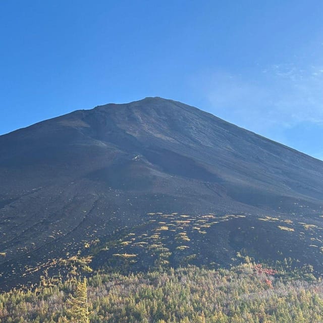 From Tokyo: Mount Fuji Private Day Tour Fully Customizable - The Sum Up