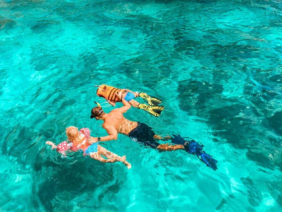 Phuket: Early Speedboat to Phi Phi, Bamboo, Snorkel & Lunch - Monkeys, Villages, and Viewpoints