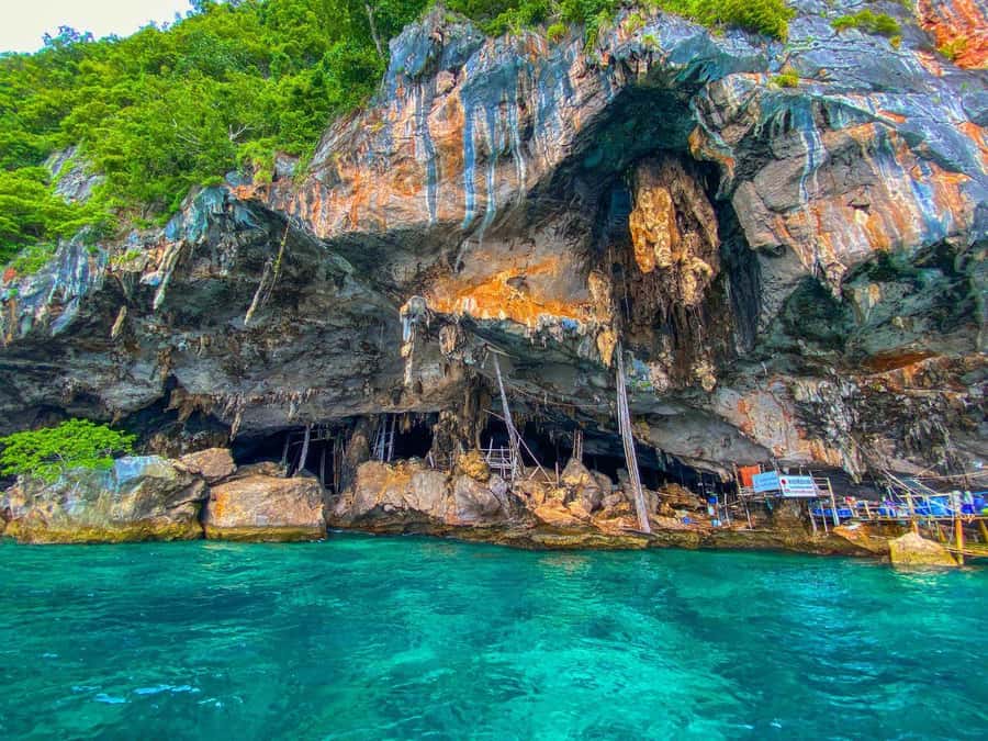 Phuket: Early Speedboat to Phi Phi, Bamboo, Snorkel & Lunch - Cost-Effectiveness and Value