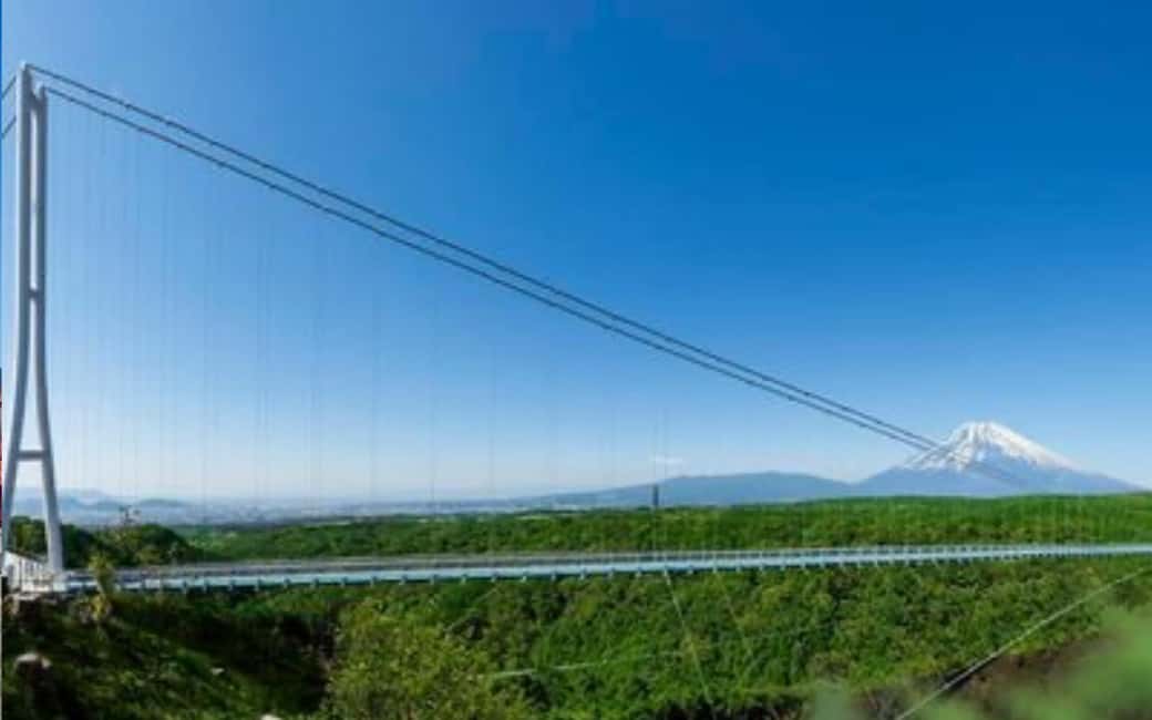 Tokyo:Customizable Private Day Trip to Mt.Fuji & Safari Park - A Closer Look at the Itinerary