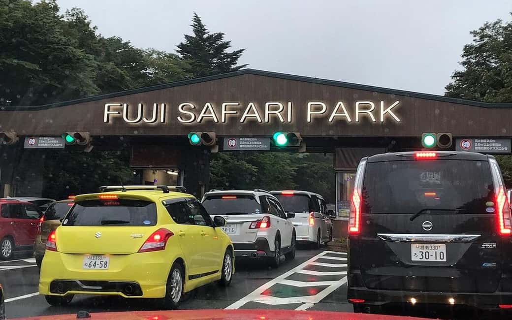 Tokyo:Customizable Private Day Trip to Mt.Fuji & Safari Park - Who Would Love This Tour?