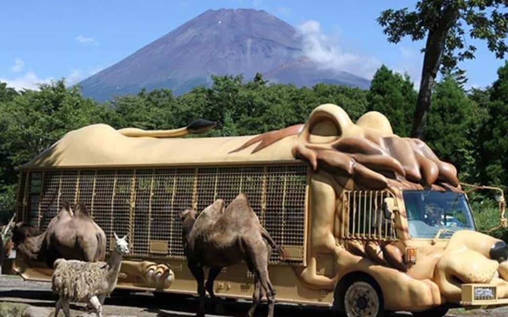 Tokyo:Customizable Private Day Trip to Mt.Fuji & Safari Park - Transportation & Comfort