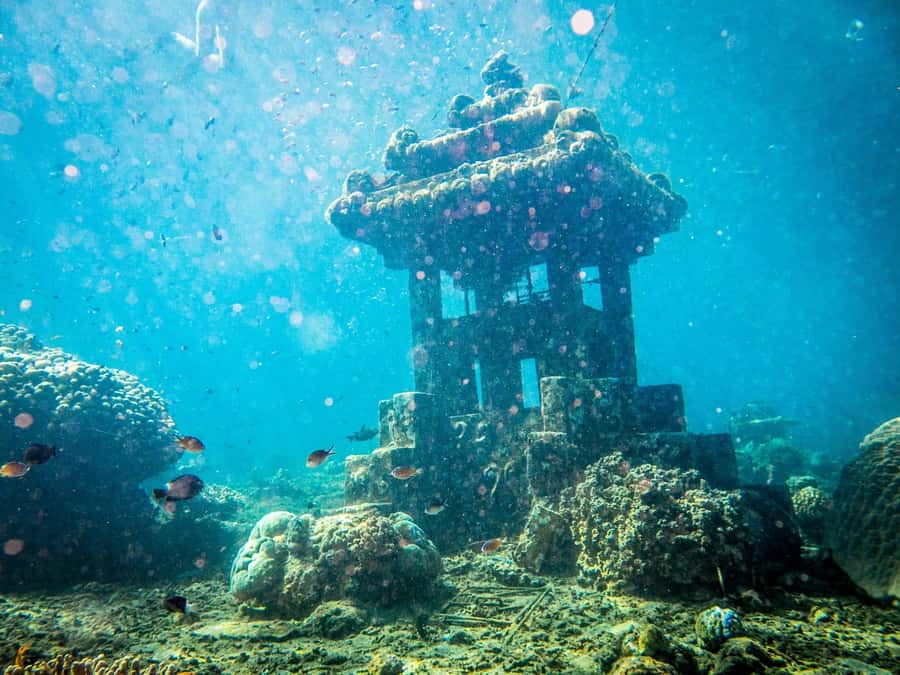 Scuba Diving experiences - An In-Depth Look at the Bali Scuba Experience