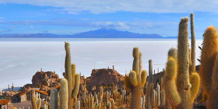 From San Pedro de Atacama: 3-Day Uyuni Salt Flat Tour - FAQ