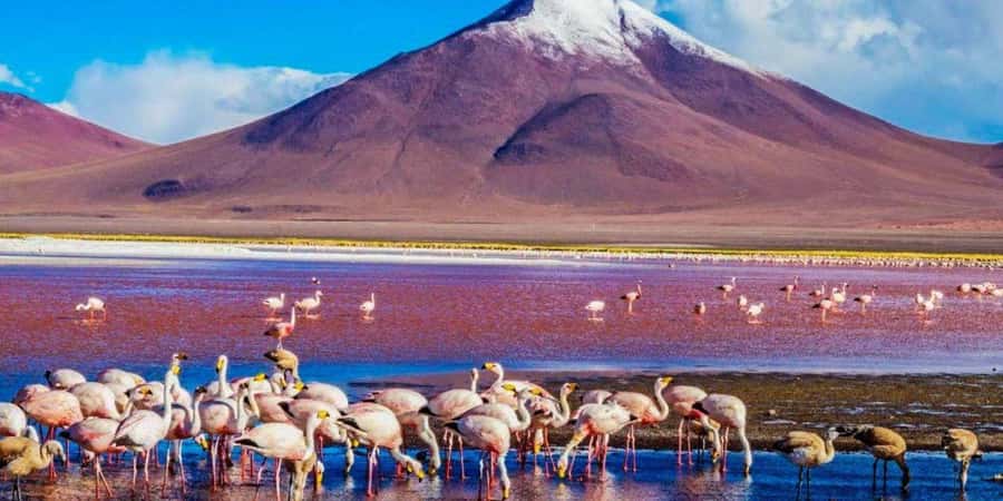 From San Pedro de Atacama: 3-Day Uyuni Salt Flat Tour - A Deep Dive into the 3-Day Uyuni Salt Flat Tour
