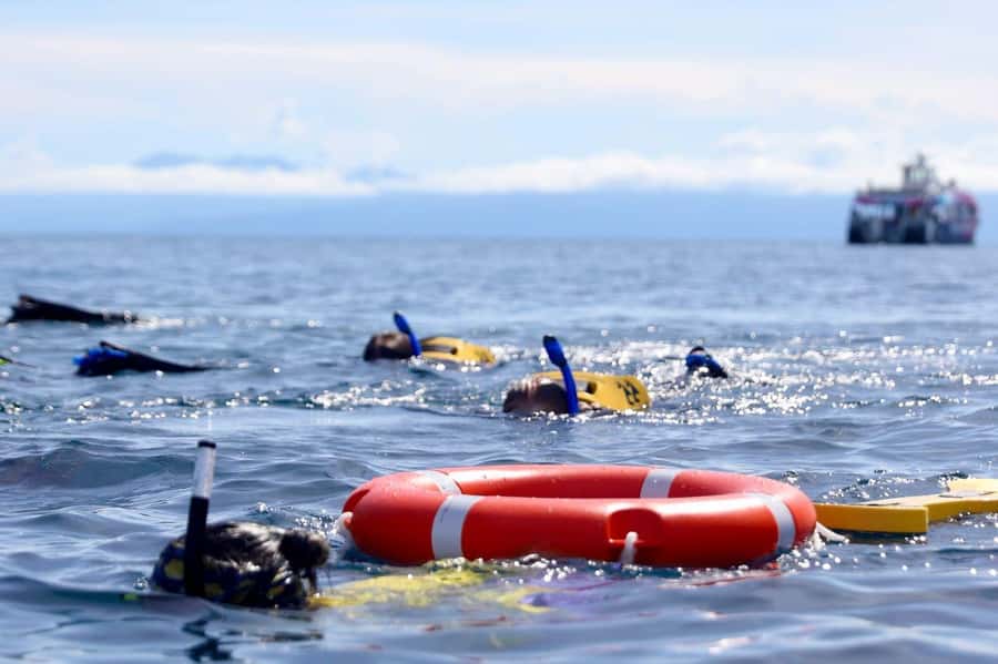 Cairns: All-Inclusive Great Barrier Reef Half-Day Snorkeling - About This Experience