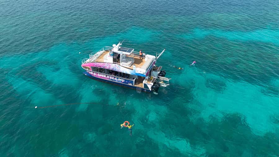 Cairns: All-Inclusive Great Barrier Reef Half-Day Snorkeling - In-Depth: The Itinerary Breakdown