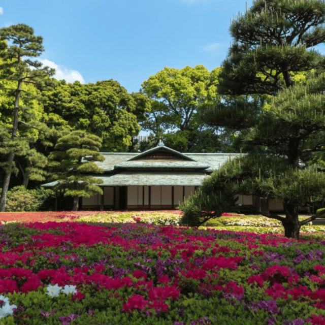 Tokyo Private Tour  Custom Itinerary & Hotel Pickup - Who Will Love This Tour?