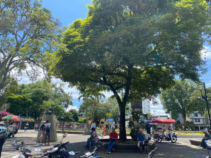 PEREIRA: PRIVATE TOUR OF MAIN SQUARES, HISTORICAL SITES + LOOKOUT POINT - Why This Tour Is a Great Value