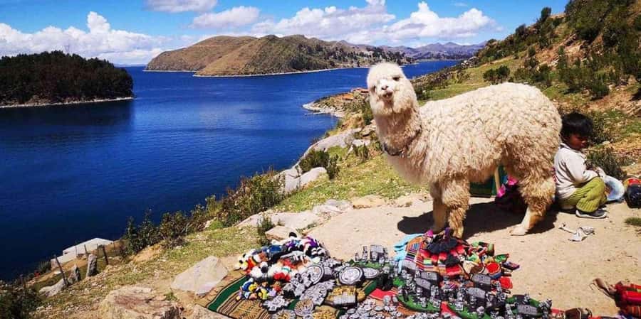 From Puno || Excursion to Copacabana and Isla del Sol || - What Makes This Tour Stand Out?