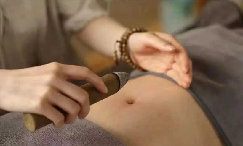 Kunming: Western Hills & Moxibustion Experience Private Tour - Magnolia Garden: Flowers and Peace