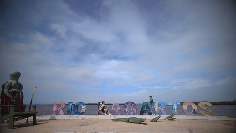 VALLADOLID: RIO LAGARTOS + LAS COLORADAS + CENOTE (SHARED TRIP) - Who Will Love This Tour?