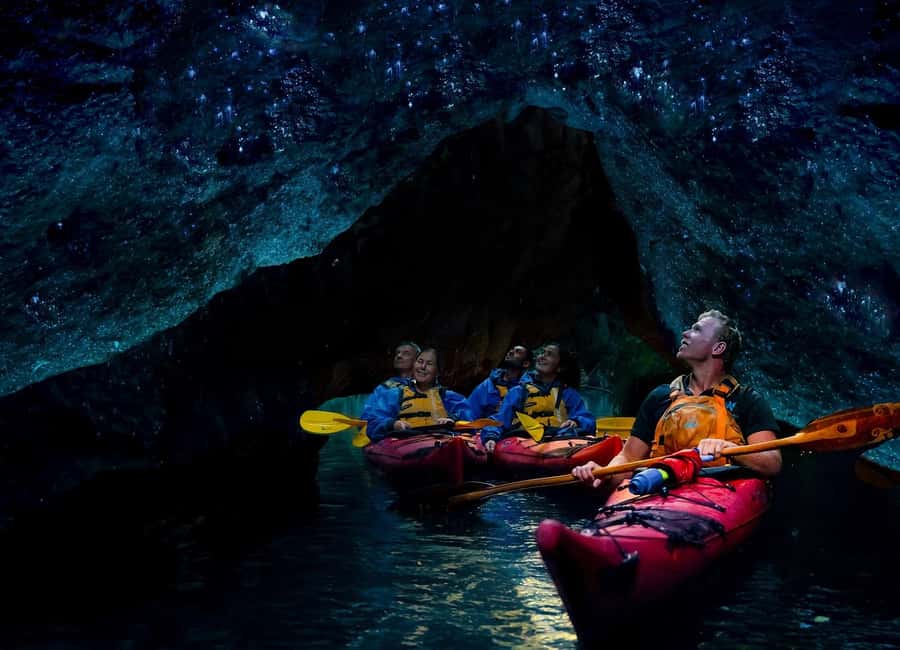 Rotorua: Evening Starlight Gourmet Kayak Tour with dinner - Who Will Love This Tour?