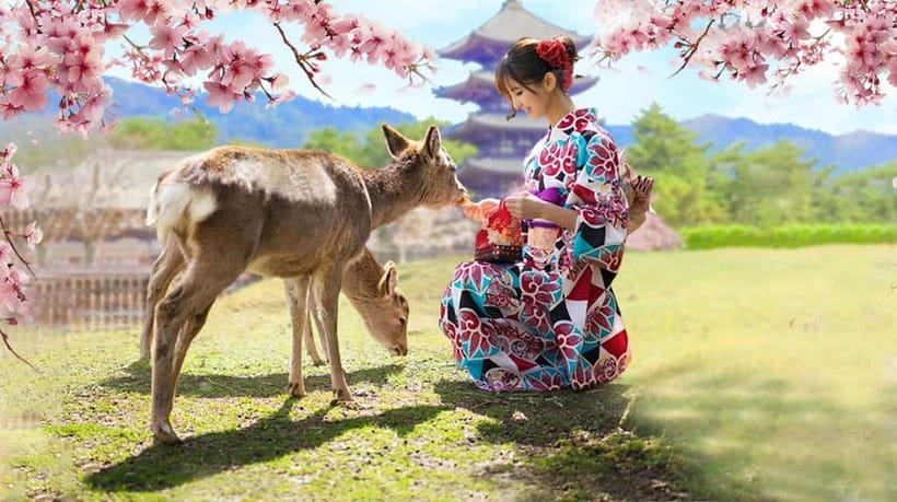 Kyoto/Osaka: Nara, Fushimi Inari Taisha, Arashiyama Bus Tour - The Sum Up