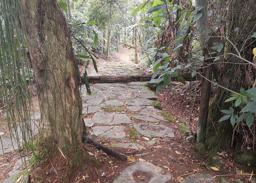 CITY TOUR IN PARATY: Churches and Historical Center Private - Exploring Paraty’s Historic Heart
