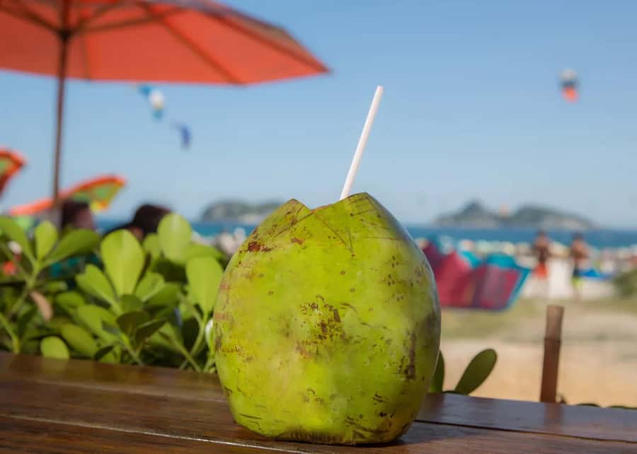 Tour Arpoador Sunset: Explore Copacabana & Forte - Final Thoughts