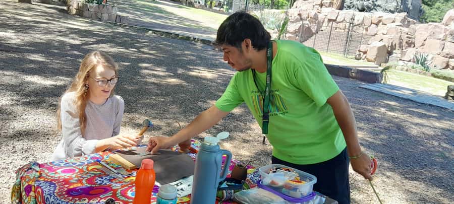 City of Salta: Alpaca and leather handicraft workshop in the open air! - FAQ