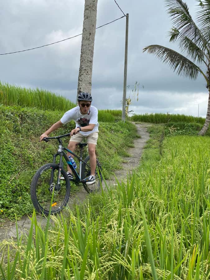 Ubud: Kintamani Downhill Cycling with small group & Private - What to Expect from the Tour