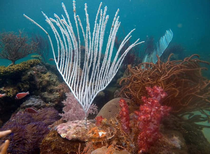 Red River Tours - Sea Walking Experience in Phu Quoc - Key Points