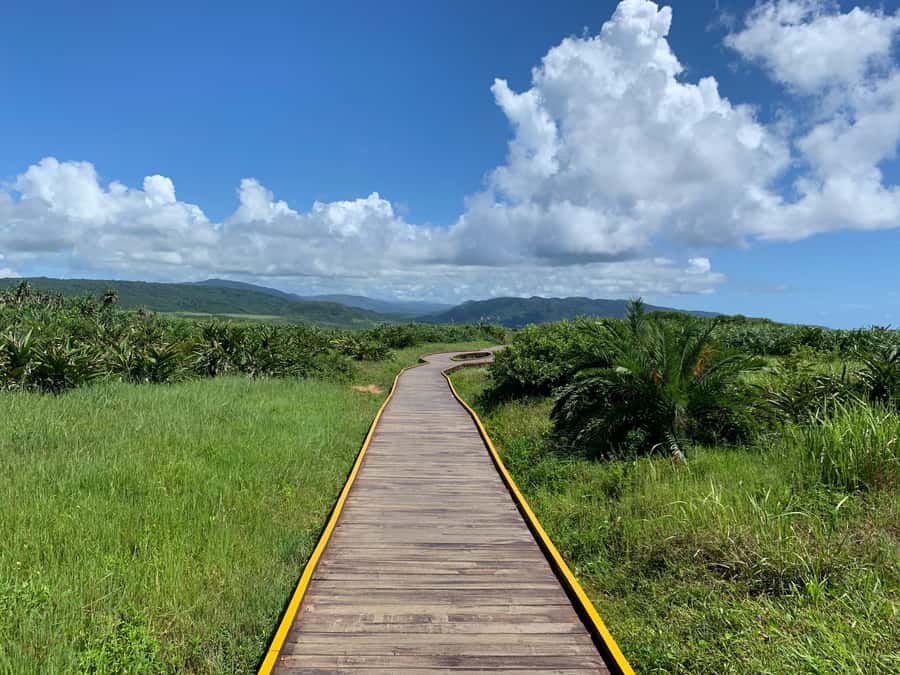 From Kaohsiung: Kenting & Ocean Coast Private Day Tour - What You Can Expect from the Tour