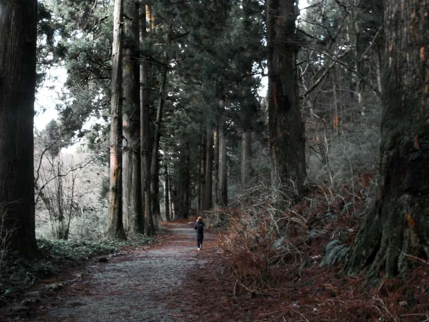 Private Hakone Tour - View Of Mt. Fuji, Nature And Culture - FAQ