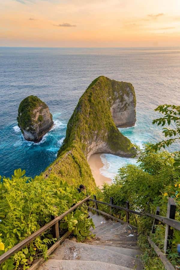One Day Tour : West Nusa Penida Adventure - Pricing & Value