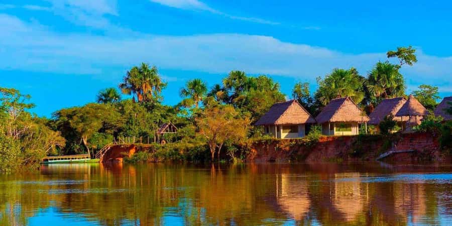 From Iquitos | 6-day Amazon rainforest tour - Day 2: Discovering Amazonian Wonders