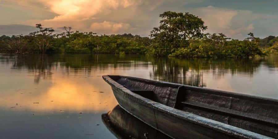 From Iquitos | 6-day Amazon rainforest tour - Day 1: Immersive Jungle Experiences